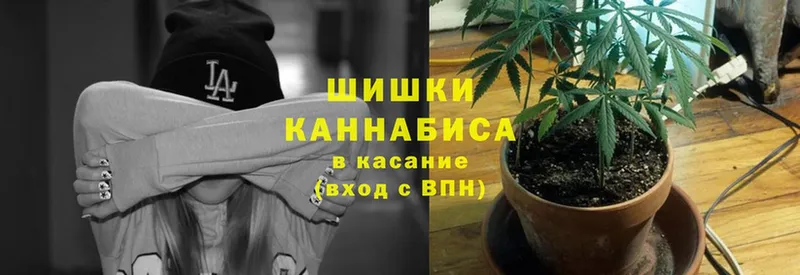 Конопля SATIVA & INDICA  купить  цена  Курган 